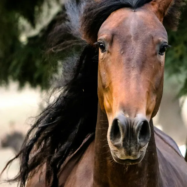 Exempel på fotografiet kunden laddar upp