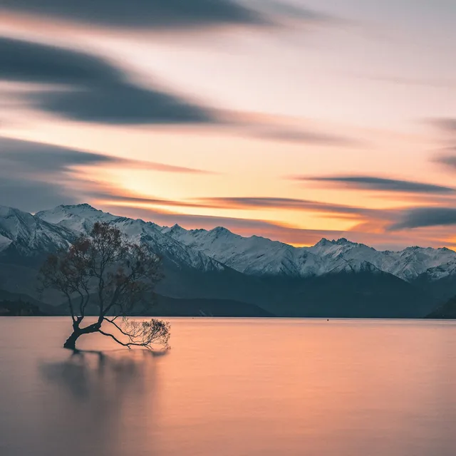 Exempel på fotografiet kunden laddar upp